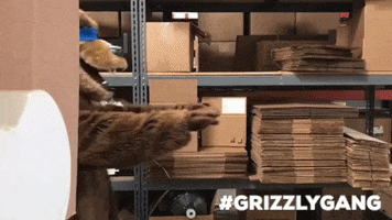Grizzly Bear GIF by Torey Pudwill