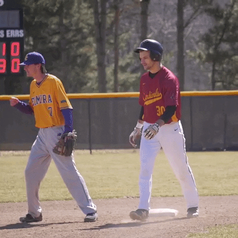 Cardinals Sjfc GIF by Fisher Athletics