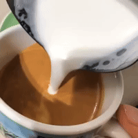 Germany Deutschland GIF by Dritan Alsela Coffee