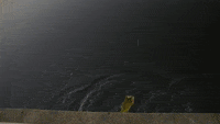 200w.gif