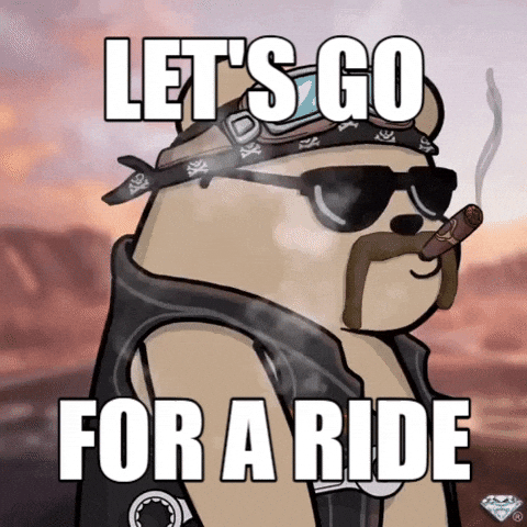 Lets-go-meme GIFs - Get the best GIF on GIPHY
