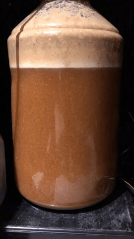 Beer Yeast GIF