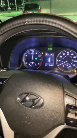 Car Check GIF