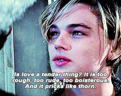 letters to juliet
