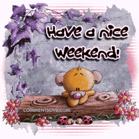 Have A Nice Evening Gifs Get The Best Gif On Giphy