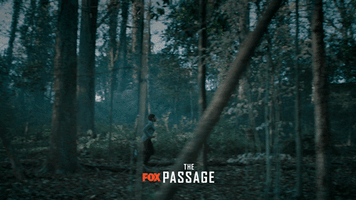 the passage running GIF