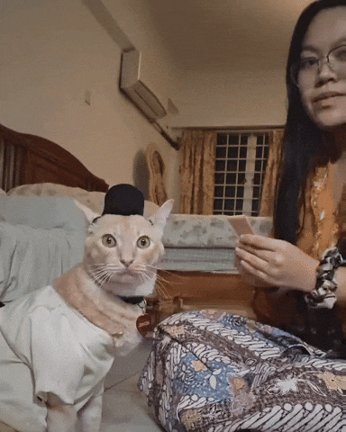 Funny Cat Eid Mubarak GIF