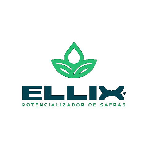 Ellix Sticker