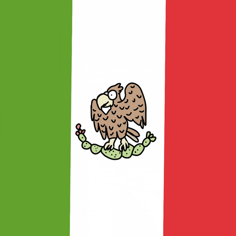 Mexican-illustration GIFs - Get the best GIF on GIPHY