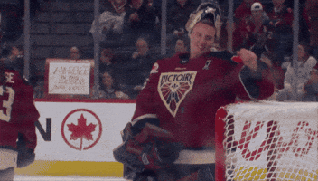 Hockey Wave GIF