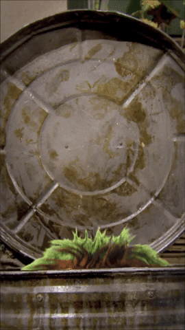 Whats Up Hello GIF by Sesame Street