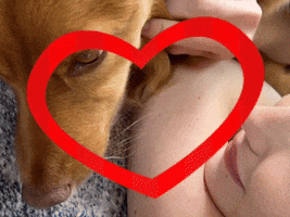 Close To You Dog GIF by Gracie Abrams