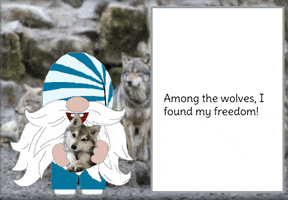 Wolf Gnome GIF