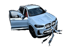 Bmx Snake Streetspeaks Tommie Sticker