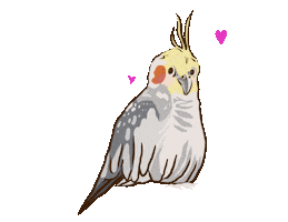 Bird Cockatiel Sticker