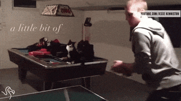 guy code cat GIF by mtv