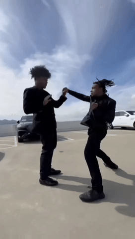Peleas GIF