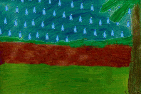 2015 movie challenge