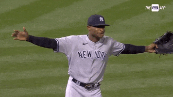 Happy Perfect Game GIF by YES Network