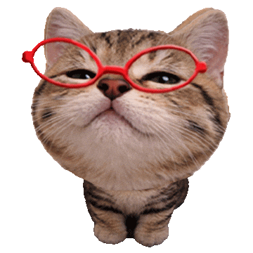 Cat Kitten Sticker