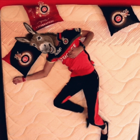 Royal Challengers Bangalore Donkey GIF
