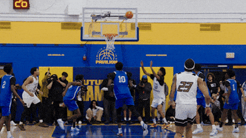 Tajh GIF by Studio Linq