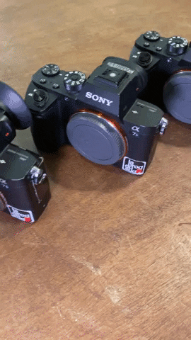 Sony GIF