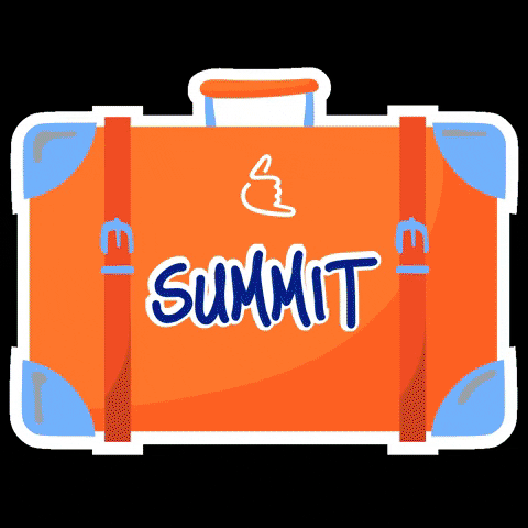 Bag Summit GIF by Superpeer