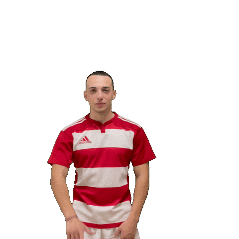 Try Meta Sticker by RIMINI RUGBY