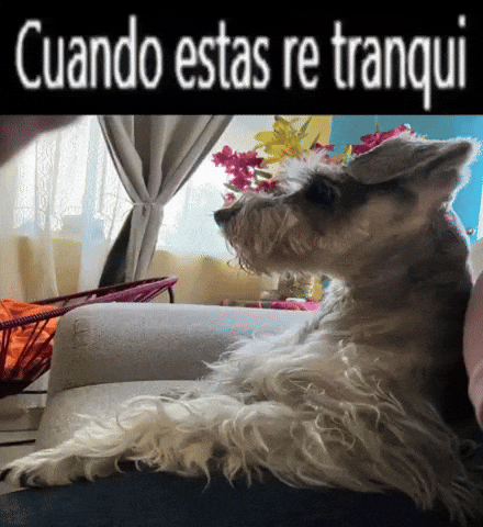 Chill Xd GIF
