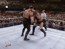 Smash Wrestlemania V GIF by WWE