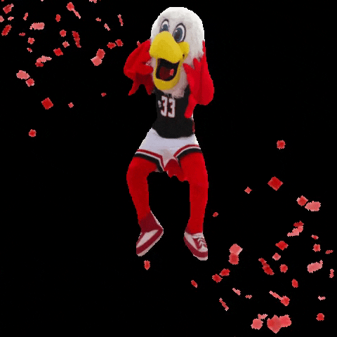 Howie GIF by University of Hartford