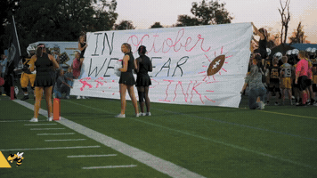 Yellow Jackets GIF
