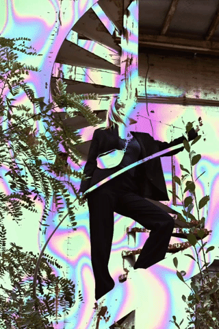 GIF by Hosselbagga