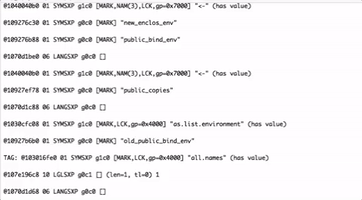 R Inspect Internal Sexp GIF