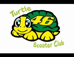Turtlessa Tuttle'S GIF