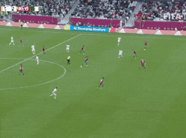 Qatar Whatagoal GIF