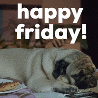 Its Friday Dog GIF by GIPHY Studios Originals