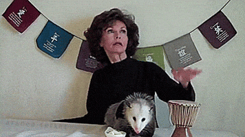 possum drumming GIF