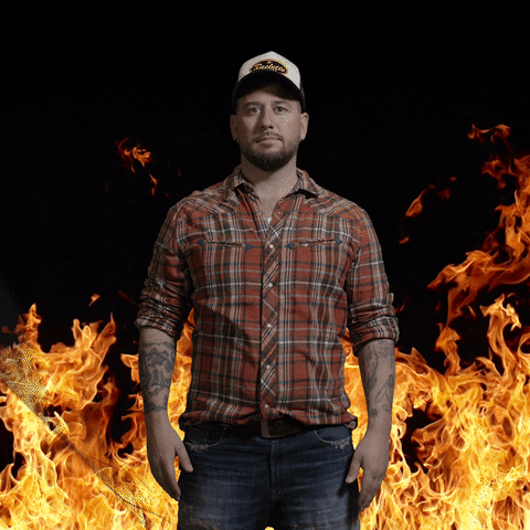 GIF by TRAUFFER