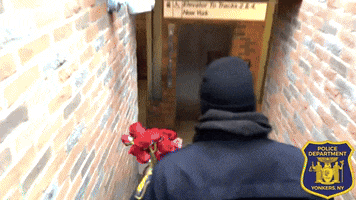 Valentines Day Police GIF by Storyful