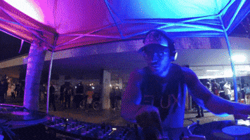 tudrey bug GIF