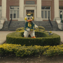 U Of O Duck GIF by University of Oregon