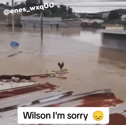 Wilson Lo Siento GIF