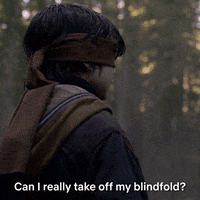 bird box horror GIF by NETFLIX