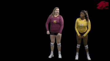 volleyball GIF by CUCougars