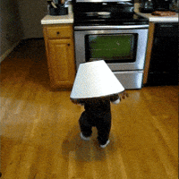 Lampada GIFs - Find & Share on GIPHY