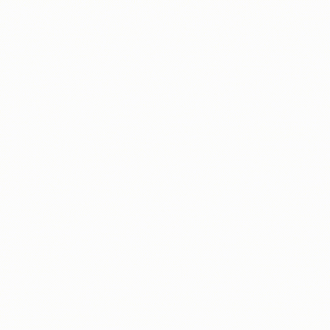 biautogroup GIF
