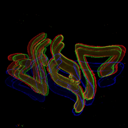 Vip GIF