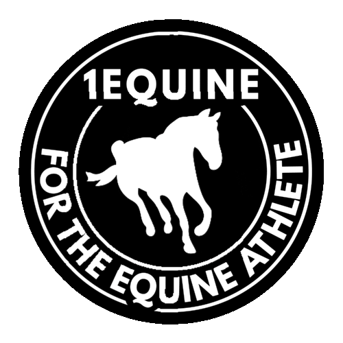 1Equine Horse Supplements Sticker